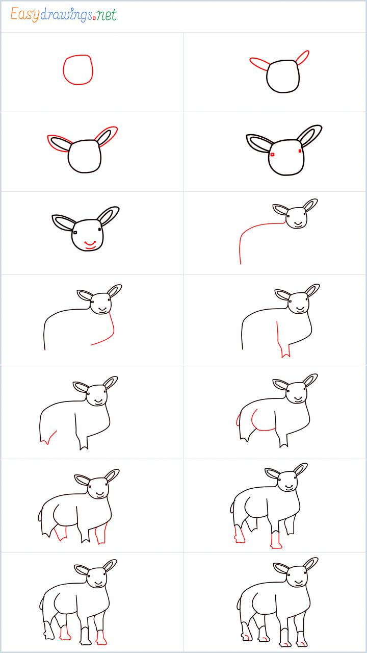 all outline for Sheep drawing example