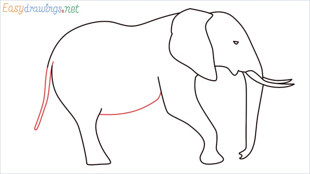 How to draw a elephant step (9)