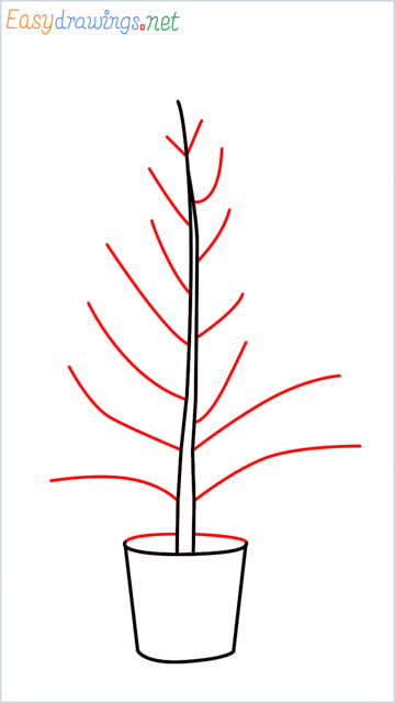 Simple easy beautiful christmas tree drawing step (4)