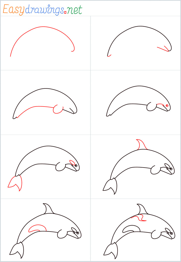 all reference outline drawing in one place for Orca drawing tutorial