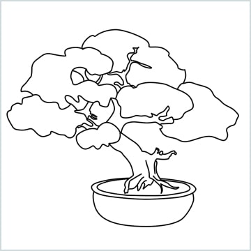 How to draw a bonsai tree step by step for beginners