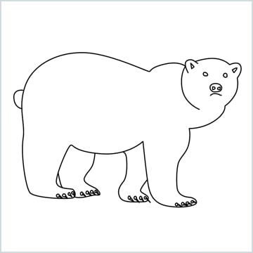 How to Draw a brown bear step by step - [10 Easy Phase]