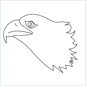 eagle head drawing