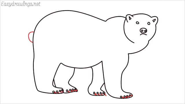 how to draw a brown bear step (10)