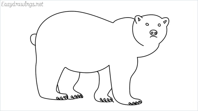 how to draw a brown bear step by step for beginners
