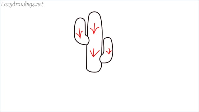 how to draw a cactus step (5)