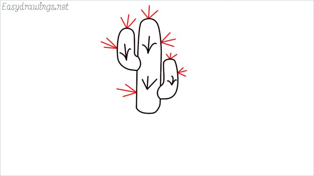 how to draw a cactus step (6)