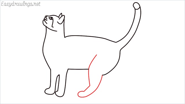 how to draw a cat step (12)