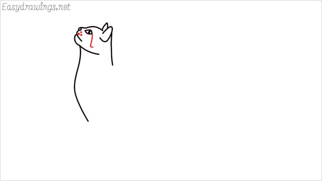 how to draw a cat step (7)