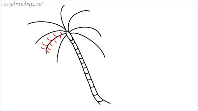 How to draw a coconut tree step by step for beginners