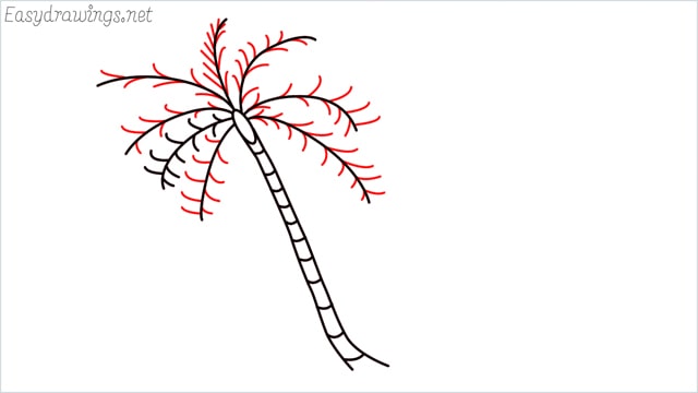 How to draw a coconut tree step by step for beginners