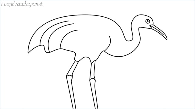 How to Draw a Crane Step by Step for Beginners: 9 Simple phase