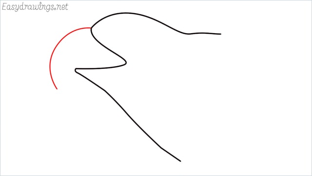 how to draw a eagle head step (3)