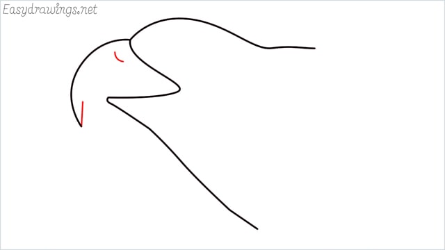 how to draw a eagle head step (4)