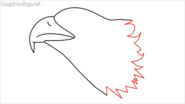 how to draw a eagle head step (6)