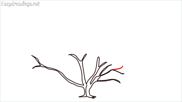 how to draw a fall tree step (16)
