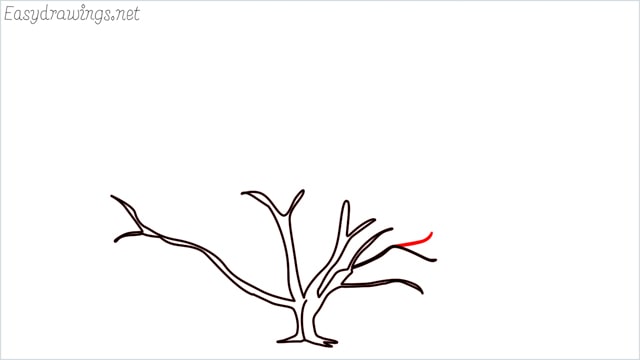 How To Draw An Autumn Tree How To Draw A Fall Tree Step By Step Drawing 4174