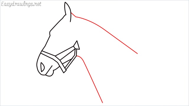 How to Draw a horse head step by step for beginners: 10 Simple phase