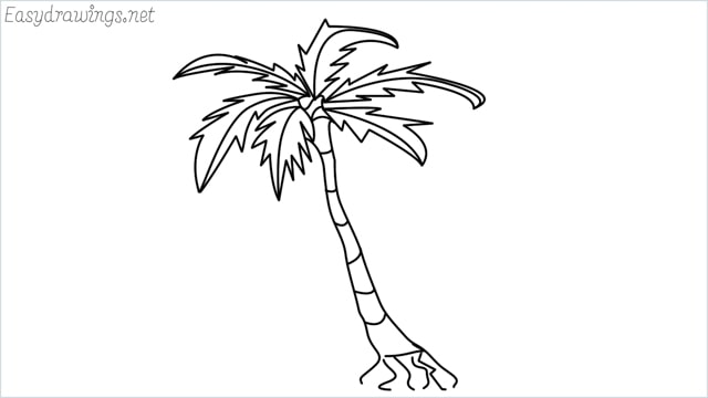 how to draw a palm tree drawing step by step for beginners