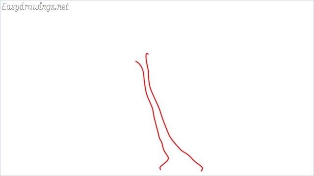 how to draw a palm tree step (1)