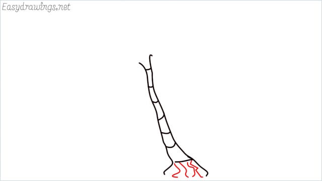 how to draw a palm tree step (3)