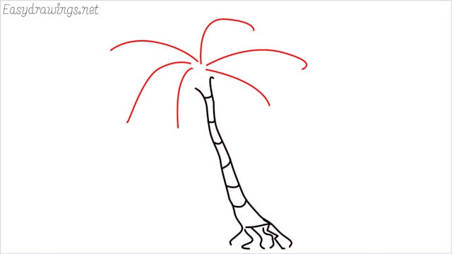 how to draw a palm tree step (4)