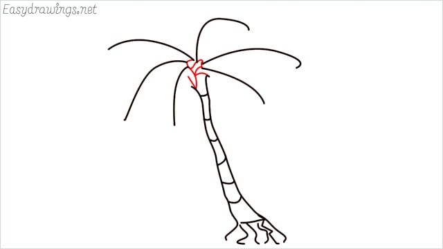 how to draw a palm tree step (5)