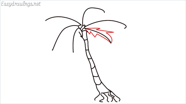 how to draw a palm tree step (6)