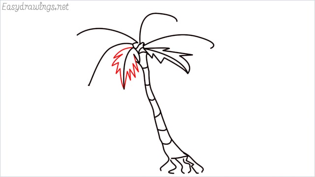 how to draw a palm tree step (7)
