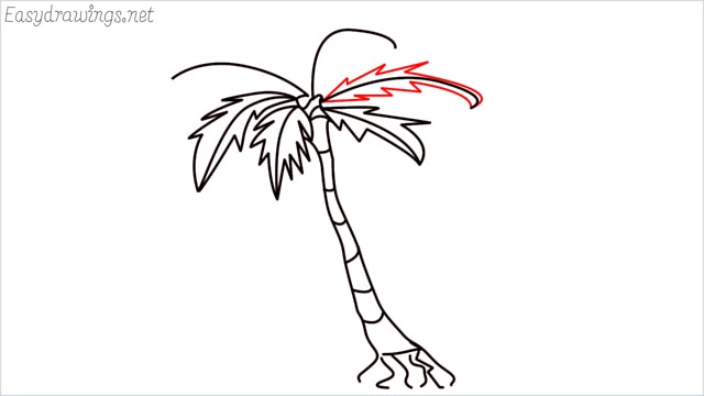 how to draw a palm tree step (9)