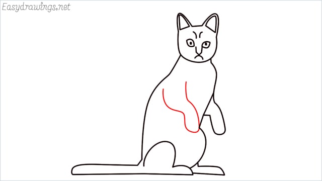 how to draw a sitting cat (12)