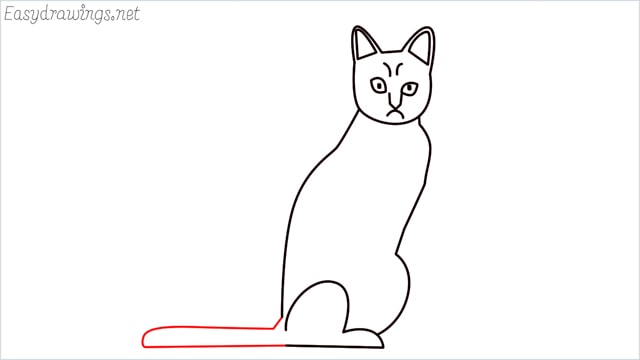 How to Draw a Cat step by step for beginners: 15 Simple phase