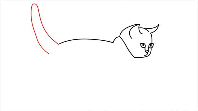 how to draw a walking baby cat (7)