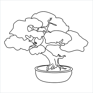 Bonsai tree drawing