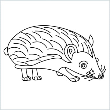 hedgehog drawing