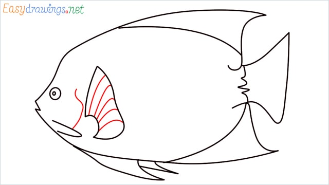 how to draw a King Angelfish step (10)