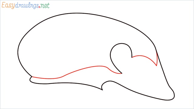 how to draw a hedgehog step (4)