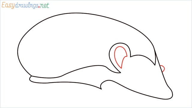how to draw a hedgehog step (5)