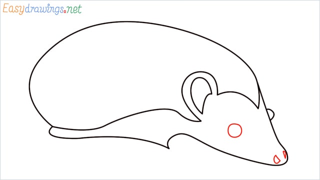 how to draw a hedgehog step (6)