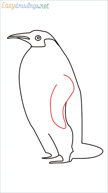 how to draw a penguin step (10)
