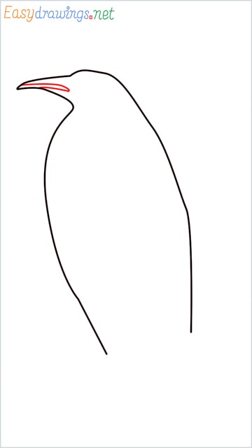 how to draw a penguin step (4)