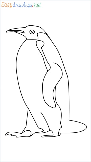 how to draw a penguin step by step for beginners