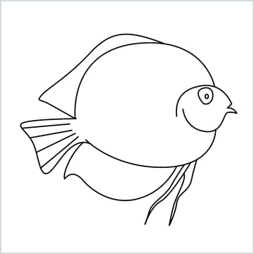 How to Draw a Discus Fish step by step - [8 Easy Phase]