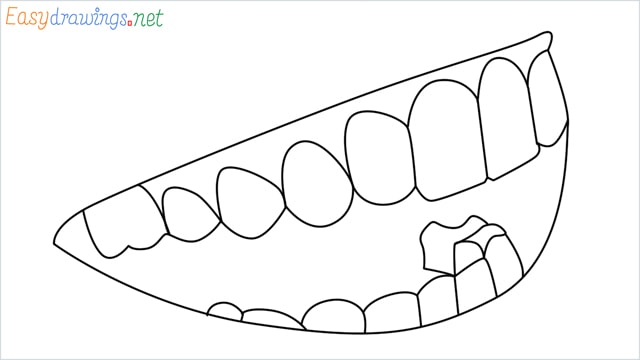 How to draw Teeth and mouth step by step