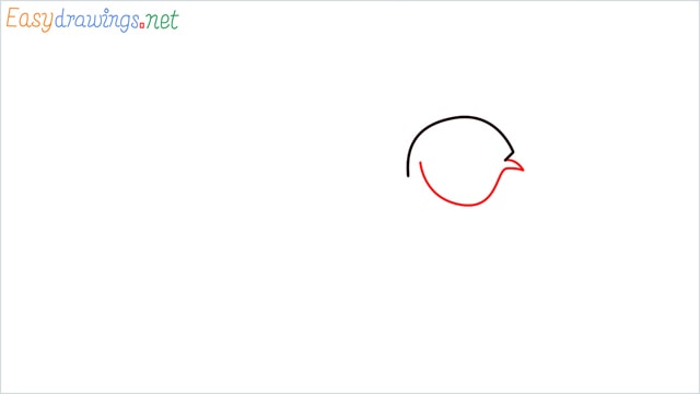 How to draw a Discus Fish step (2)