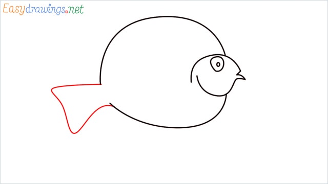 How to draw a Discus Fish step (5)