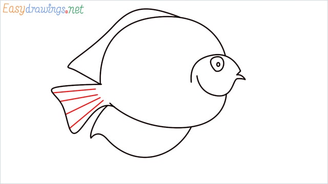 How to draw a Discus Fish step (7)