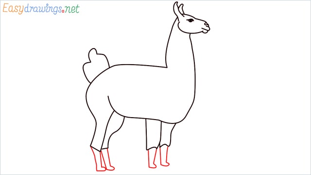 How to draw a Llama step (10)