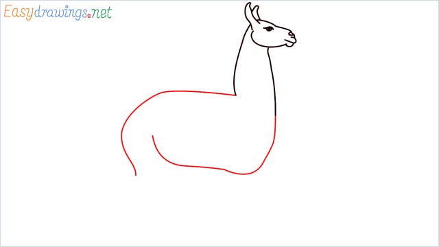 How to draw a Llama step (6)