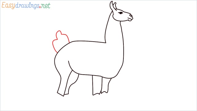 How to draw a Llama step (9)